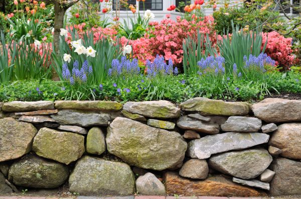 Stone Wall Hardscaping in Ellicott City
