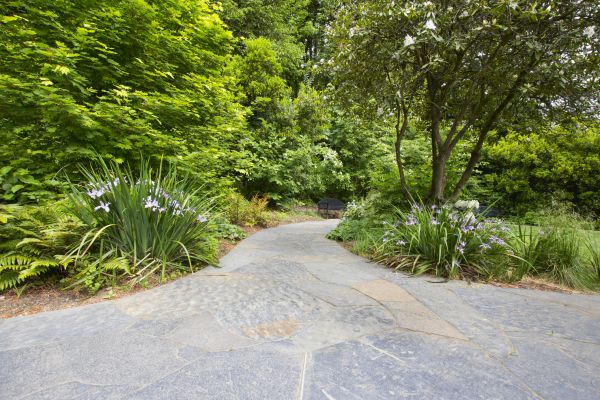 Stone Hardscape Service in Ellicott City